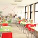 Sarida Kids Club - Prescolari, After school, Scoala de vara, Cursuri, Bucuresti